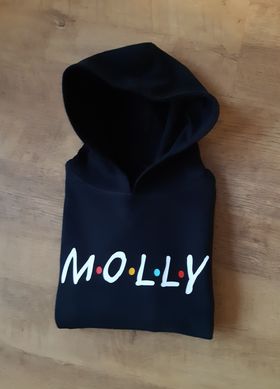 F.R.I.E.N.D.S Theme Hoodie