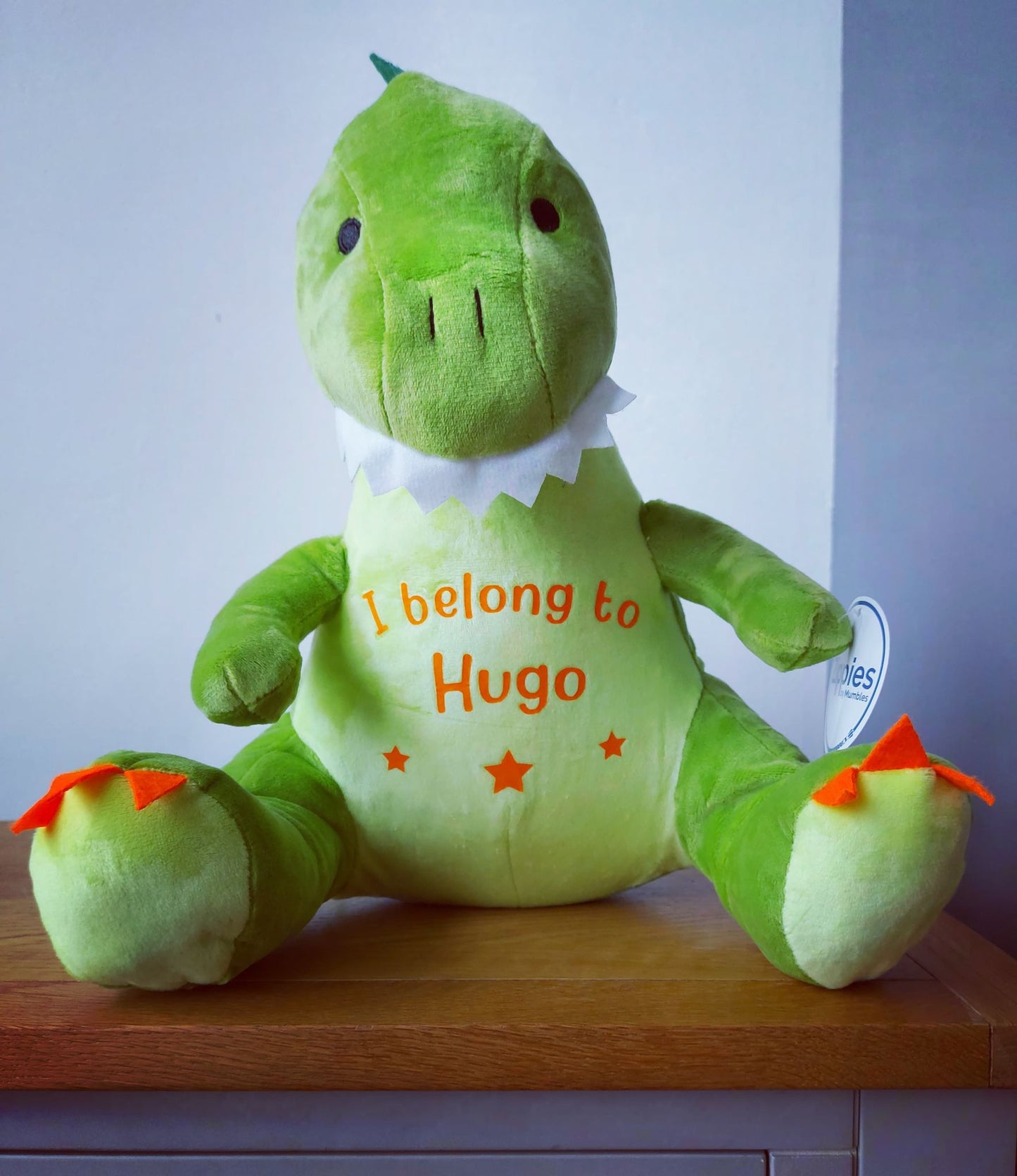 Large Personalised Dinosaur